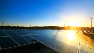 solar cell panels plant 2022 11 14 07 04 34 utc scaled